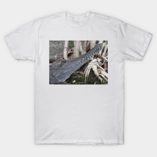Freshwater Crocodile T-Shirt